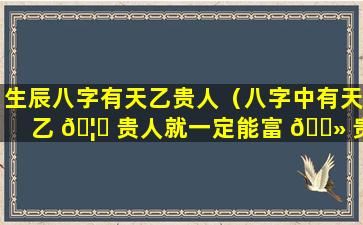 生辰八字有天乙贵人（八字中有天乙 🦋 贵人就一定能富 🌻 贵吗）